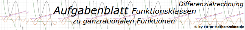 Ganzrationale Funktionen besondere Lage der Funktionsklassen Aufgaben und Lösungen/© by www.fit-in-mathe-online.de
