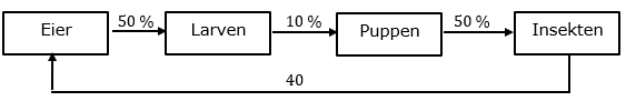 Die Entwicklung einer Insektenpopulation wird durch folgendes Diagramm modelliert. (Abituraufgaben Berufsgymnasium Teil 1 ohne Hilfsmittel Matrizen und Prozesse - 2017 Bild 1/© by www.fit-in-mathe-online.de)