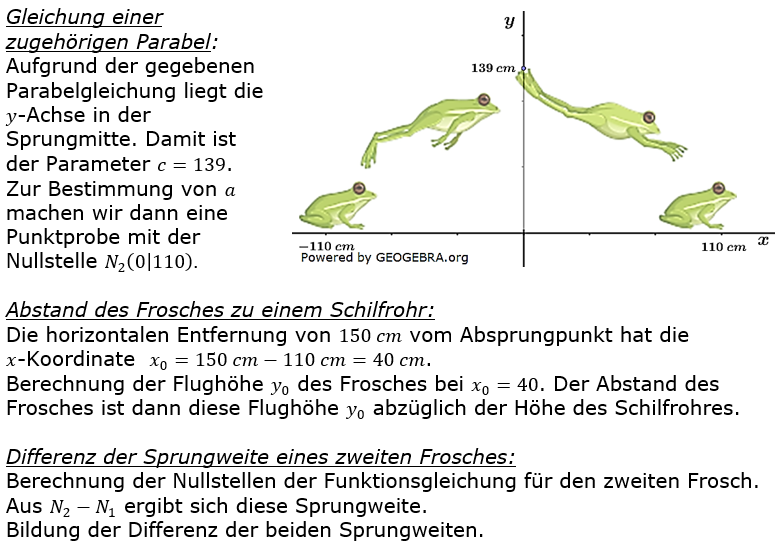 Realschulabschluss Gerade und Parabel Lösung B23A3BL02 Bild 1/© by www.fit-in-mathe-online.de