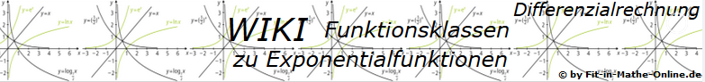 WIKI zu Exponentialfunktionen der Funktionsklassen / © by Fit-in-Mathe-Online.de